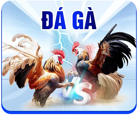 icon đá gà 99ok